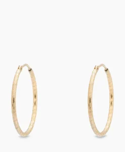 Dames Anna+nina Sieraden*Oorbellen Hammered Plain Hoop Earrings Xl Silver G Goud