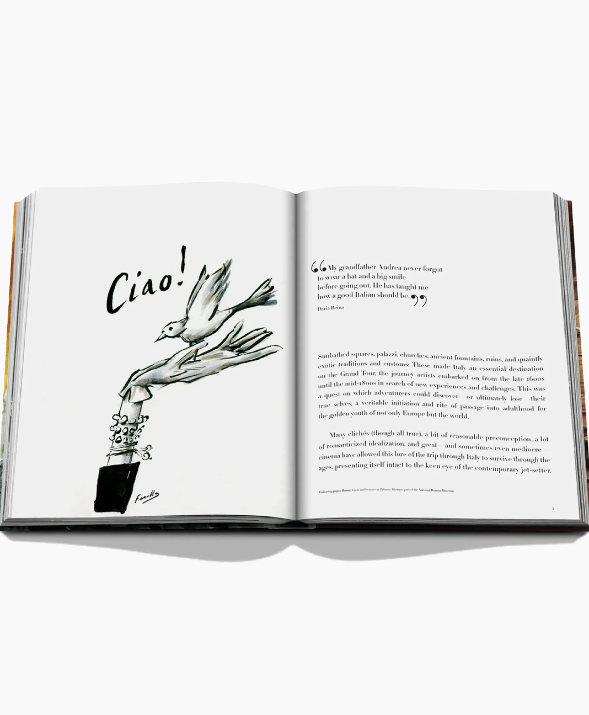 Lifestyle Assouline Lifestyle*Boek Italian Chic Diversen