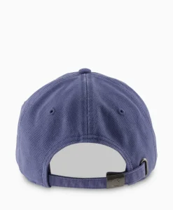 Heren Carhartt Wip Petten*Pet Icon Blauw