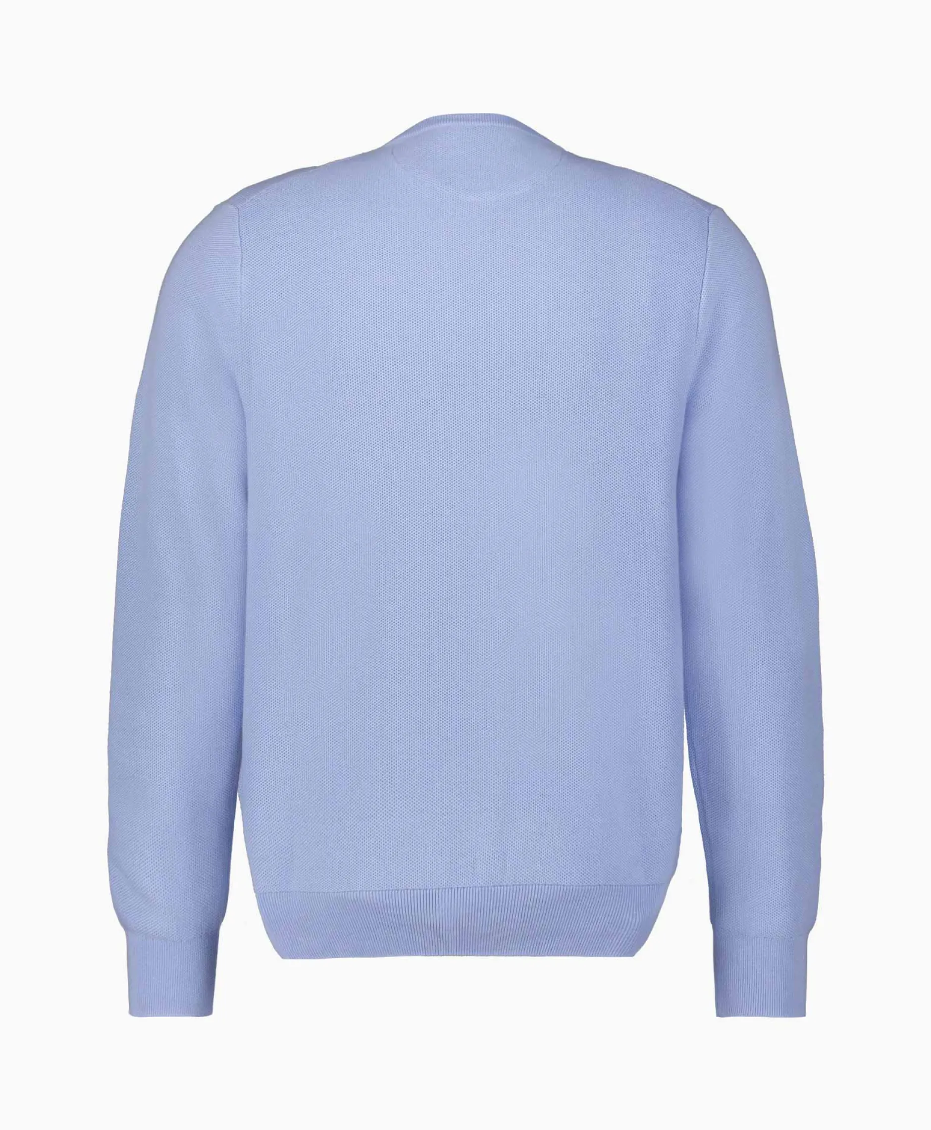 Heren Ralph Lauren Truien*Pullover Cotton Long Sleeve Licht Blauw