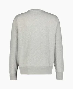 Heren Ralph Lauren Truien*Sweater Paint Bear Grijs