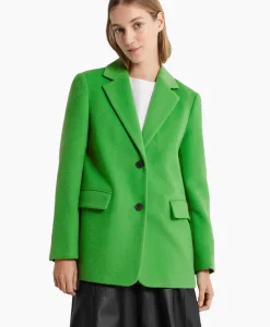 Dames Selected Femme Blazers*Blazer Sasja Wool B Groen