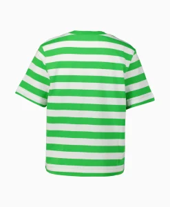 Dames Selected Femme T-Shirts & Tops*T-Shirt Korte Mouw Essential Ss Striped Boxy Tee N Groen