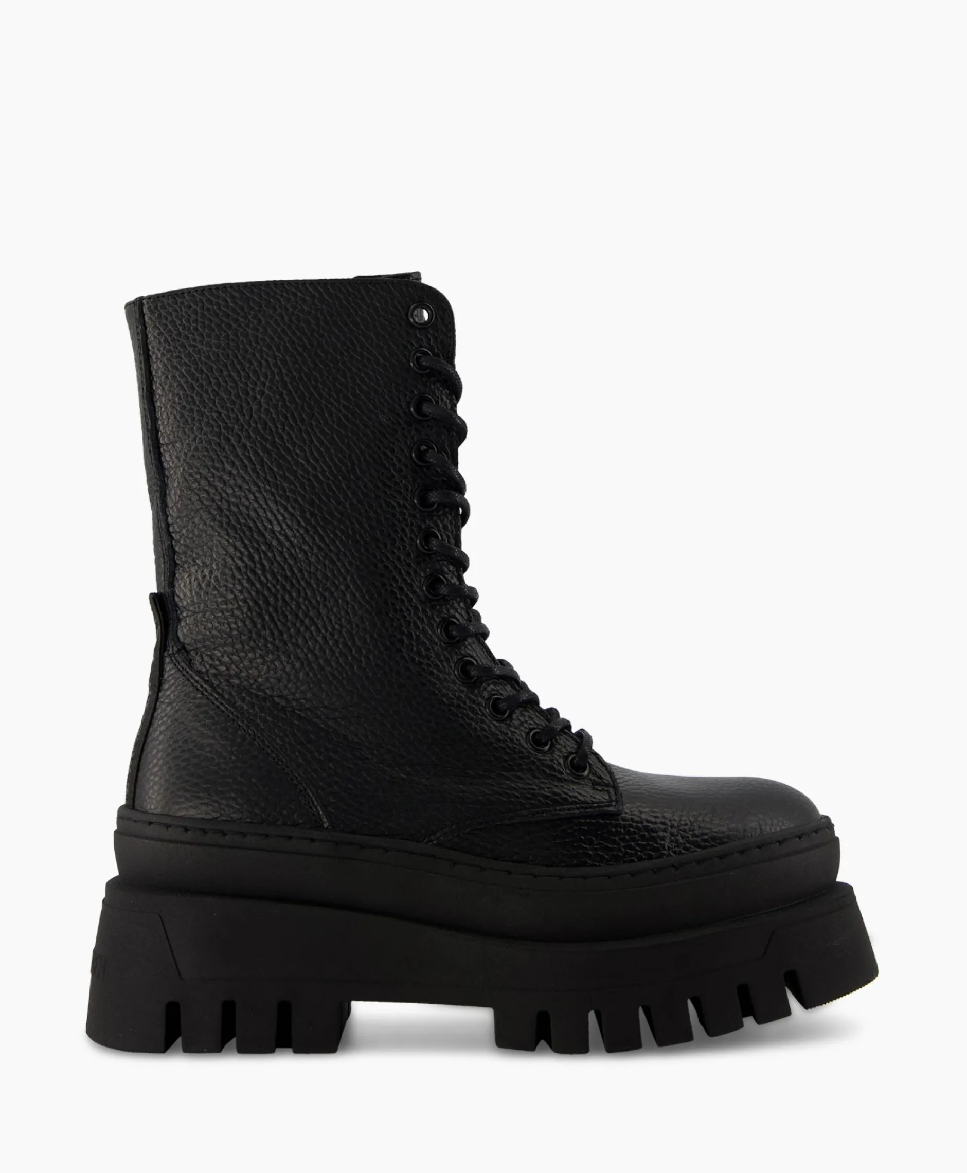 Dames Steve Madden Laarzen*Enkellaars Coast Zwart