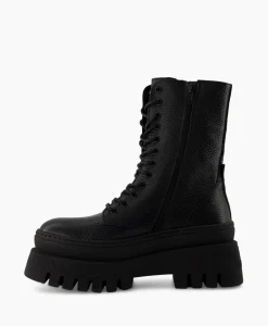 Dames Steve Madden Laarzen*Enkellaars Coast Zwart