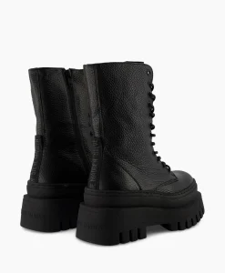 Dames Steve Madden Laarzen*Enkellaars Coast Zwart