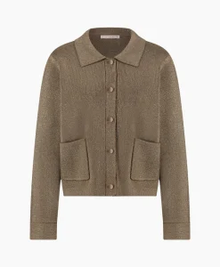 Dames Studio Anneloes Vesten*Vest Imke Lurex Cardigan Bruin Dessin